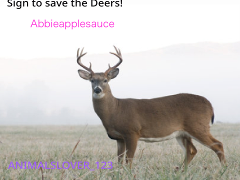 STOP HUNTIN’ DEER'S! 