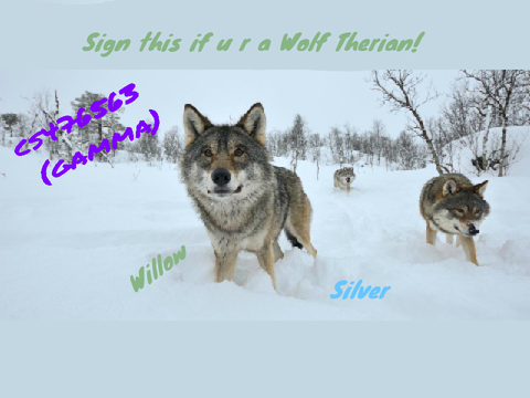  sign if your a wolf therian!!! remix remix