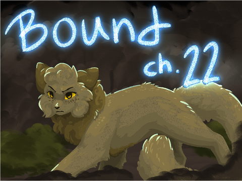Bound 22 TNE