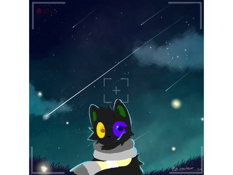 WOA STARS