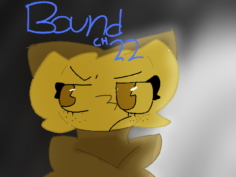 Bound Chapter 22 TN entry