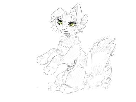 SOME ART PRACTICE AND WIPS