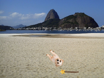 dog ball