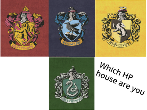 Which HP character are you?