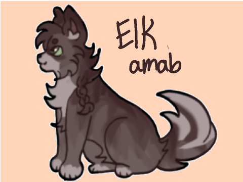 *ೃ༄♡ The Knight of The Castle ♡ An Elkkit Application ◞♡*ೃ༄