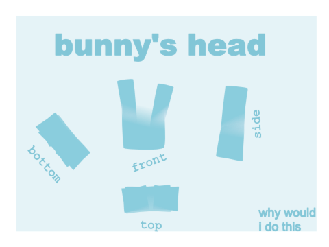 bunny's head 