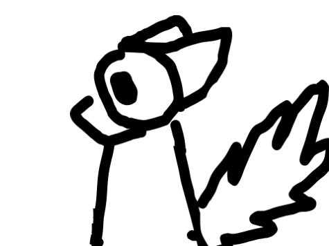 cat animation