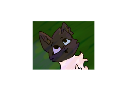 Pfpe