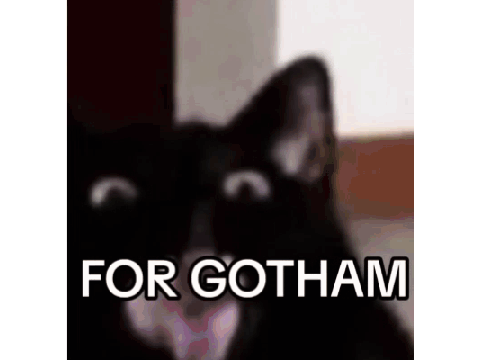 FOR GOTHAM ( Cat meme )