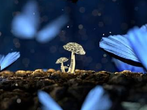 How Blue are you? || QUIZ 