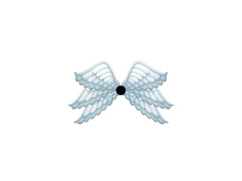 Wings thing effect