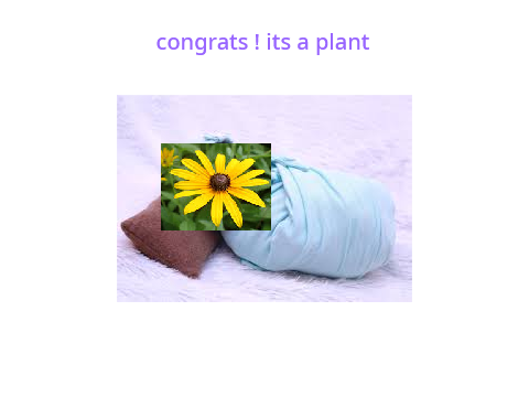 ok everyone say hi to my plant child