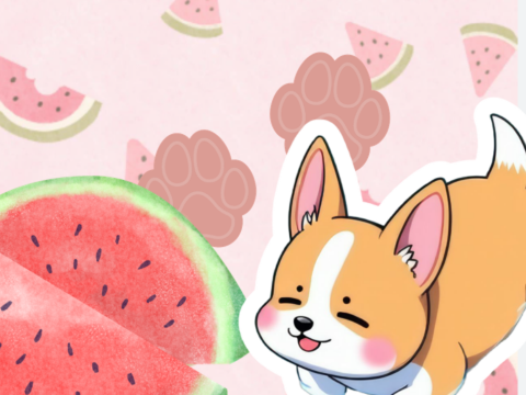 ˚˖?ִ໋❀ Chatroom ]