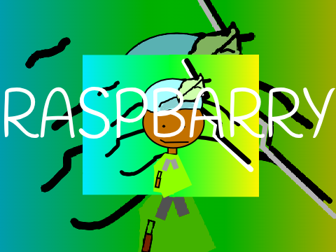 PFP FOR @-Raspbarry-