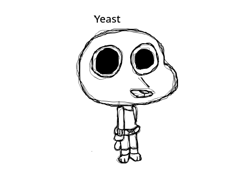 Yeast.