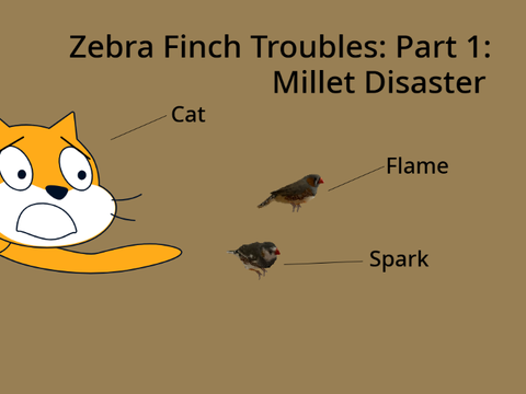 Zebra Finch Troubles: Part 1: Millet Disaster