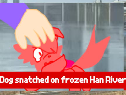 Dog snatched on frozen Han River || skit remix