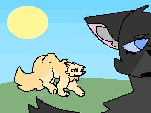 Animation Test | 