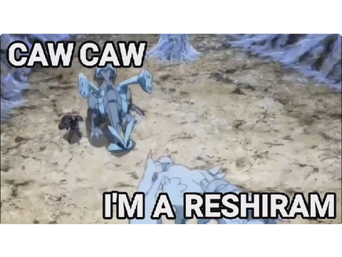 CAW CAW IM A RESHIRAM