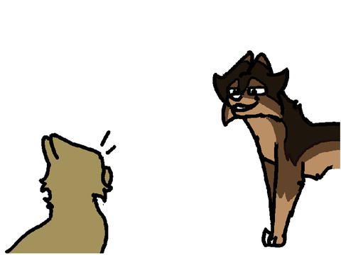 NEVER call Vixen short