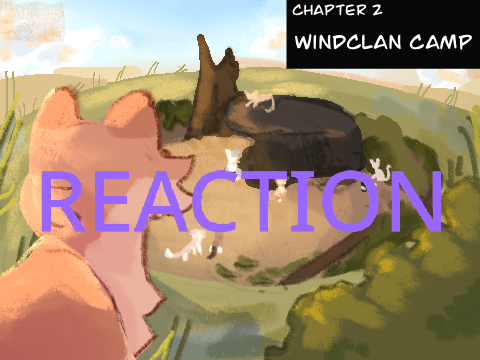 Torn ch 2 blind reaction