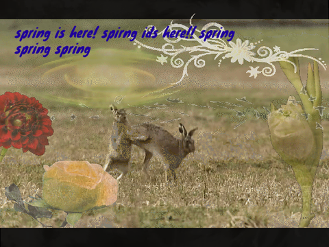 spring copy