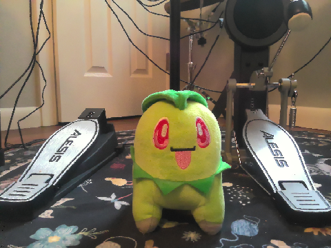 Chikorita hairstyle