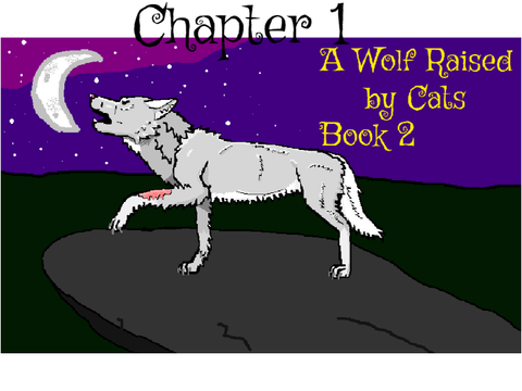 A wolf raised by cats book 2 chapter 1