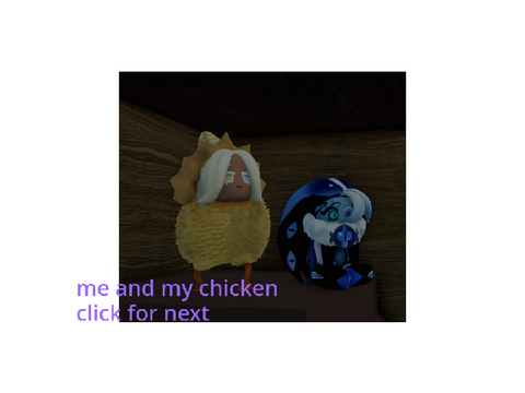 My new pet chicken