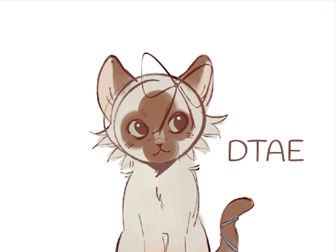 ✁ meow. DTAE
