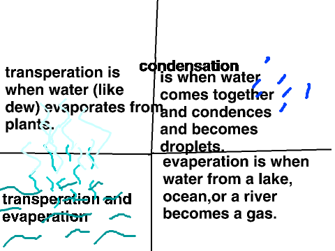 The Water Cycle