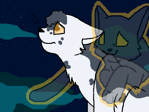 Bright'star Misses Nightstar