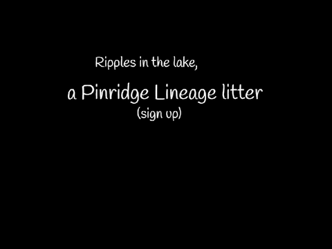 {Ripples In The Lake} Lake Pack litter sign up (CLOSED)