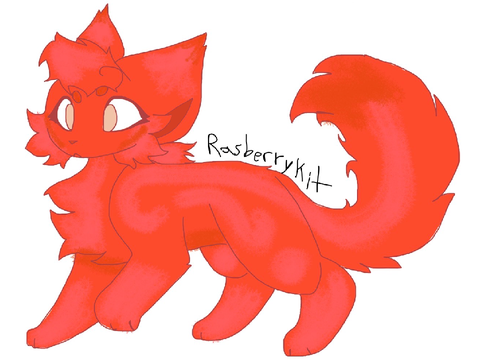 Rasberrykit 