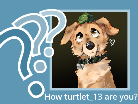 - How turtlet_13 are you? -