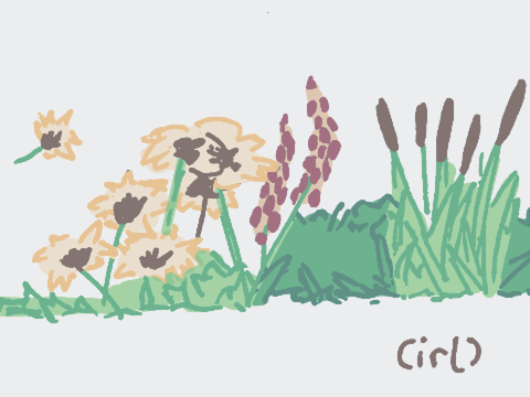 nature drawings