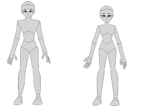 Human Body Base