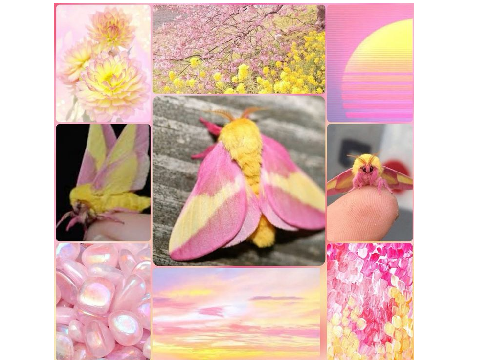 MoodBoard info for yippee