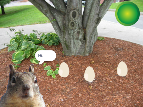 Squirrel Nut Defense!!!