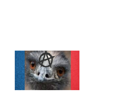 cool flag