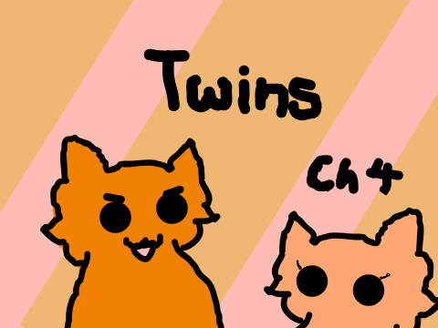 Ch 4 ~ Twins