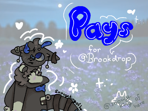 ☆ Pays for Brookdrop