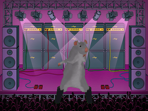 Dancing Rat