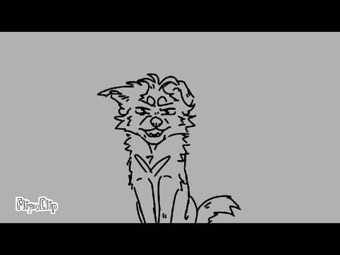 Bandit kills Jasper