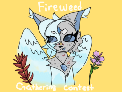 'Fireweed Gathering Contest' - FalconClan contest
