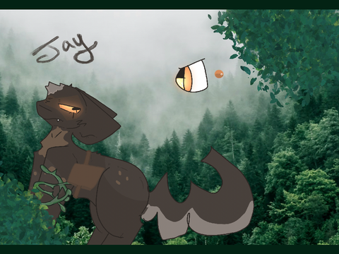 dirt poor | a jay bio project 