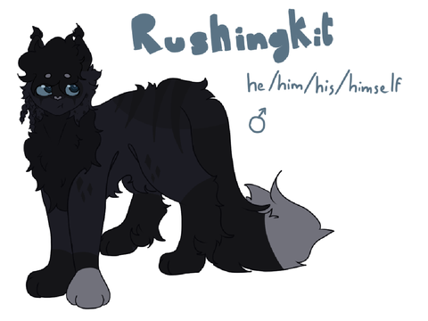| Rushingkit application |