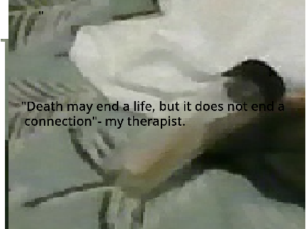 for my dog Lao.