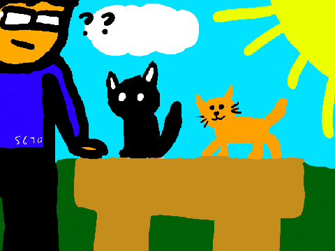 cat