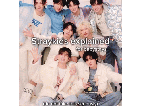 StrayKids Explained